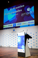 20221221 Premios Amade