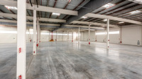 Zielo Shoping-9329